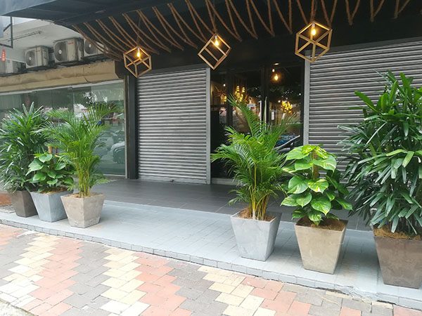 Plant Rental, Bangsar